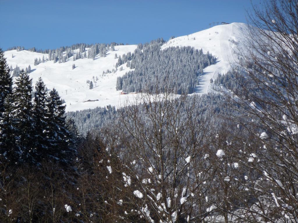 Appartement Ripper Saalbach Hinterglemm Kültér fotó